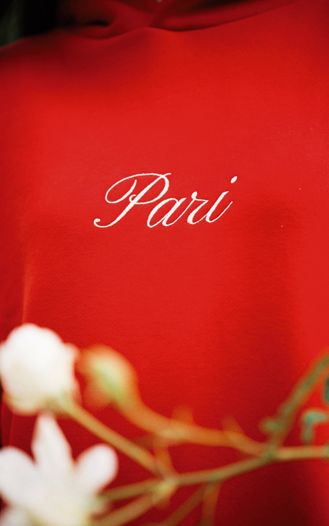 CHERRY HERITAGE HOODIE