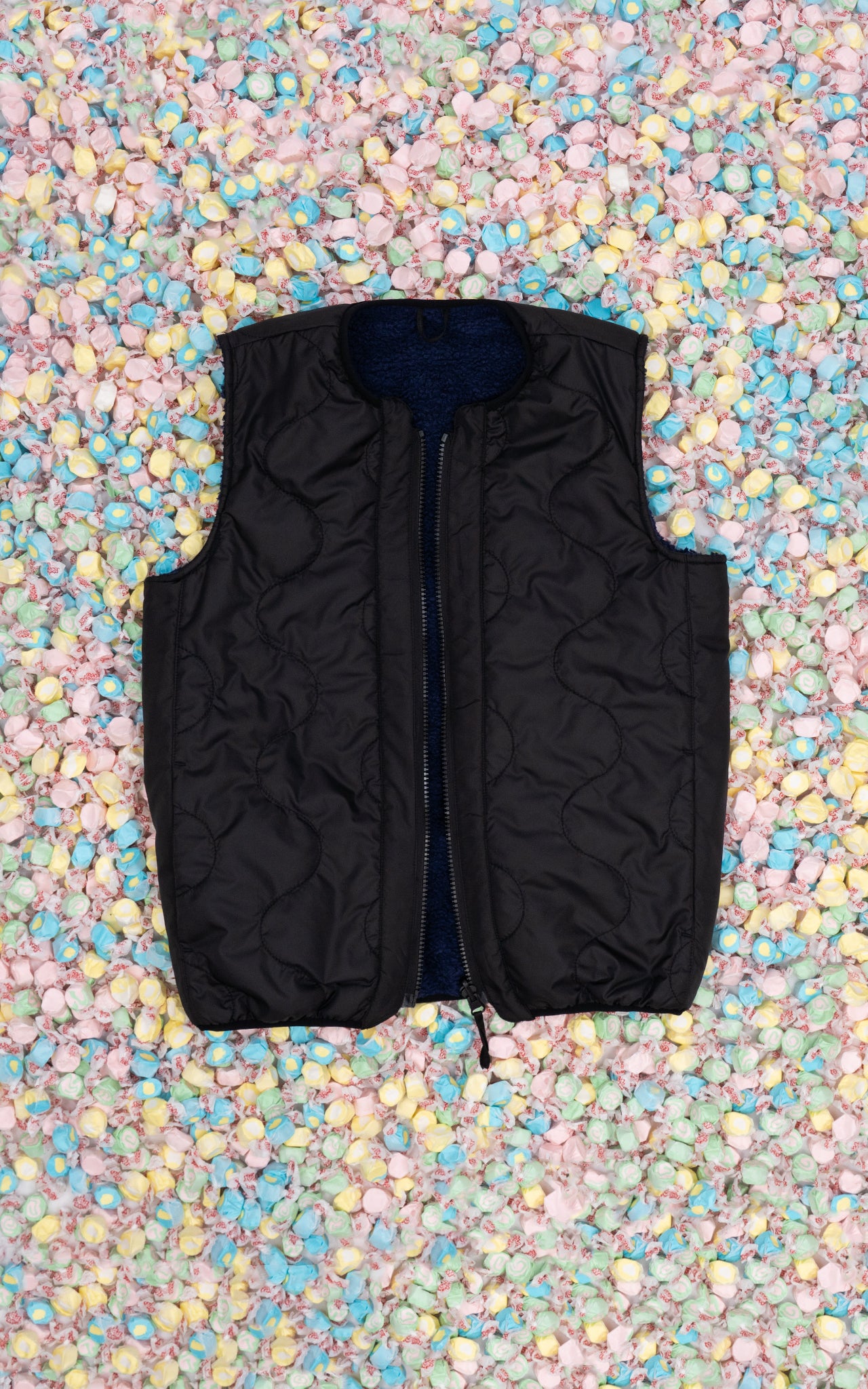 BLUEBERRY REVERSIBLE VEST