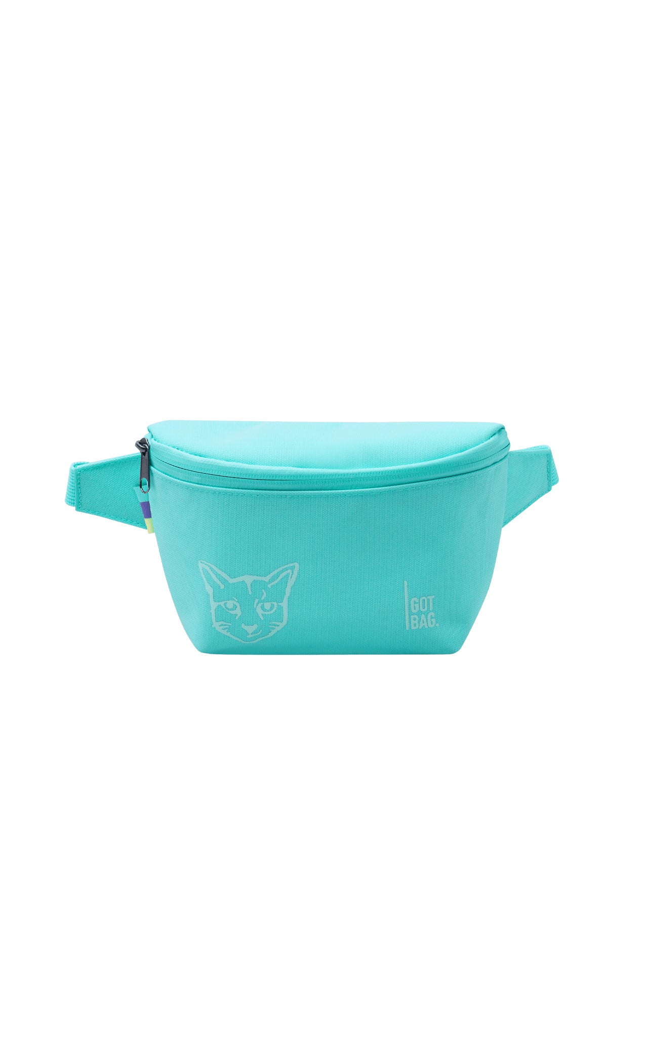 TURQUOISE GOT BAG X PARI HIP BAG