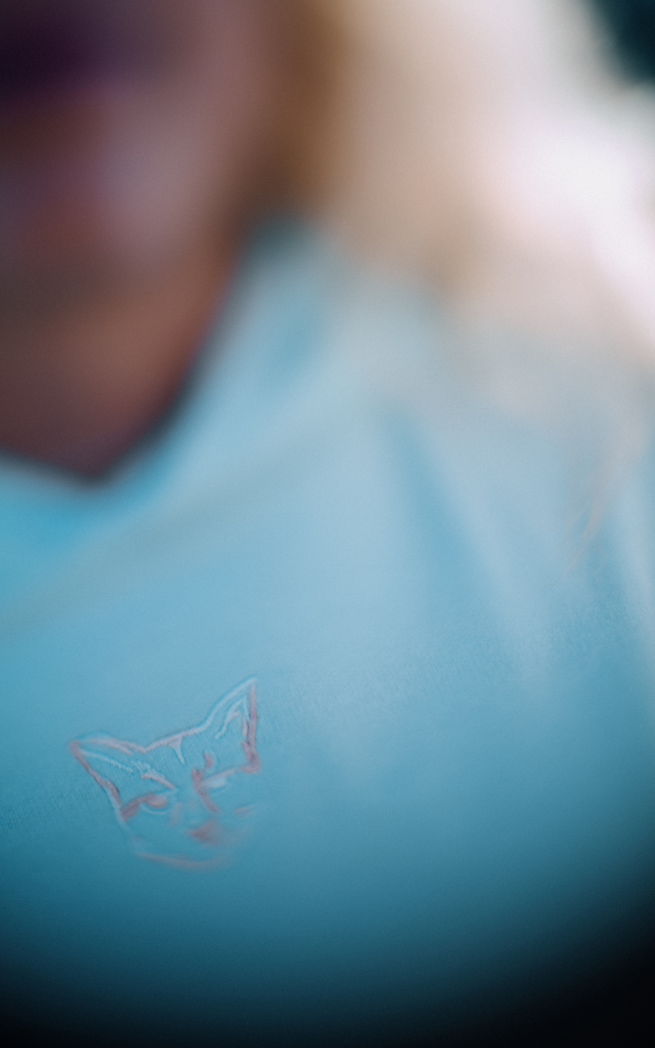 ICE LIGHT HOODIE