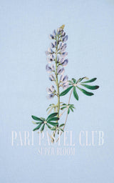 LUPINE PASTEL CLUB T-SHIRT