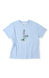 LUPINE PASTEL CLUB T-SHIRT