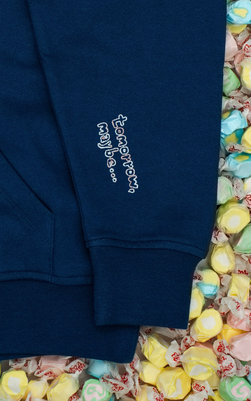 BLUEBERRY LIGHT HOODIE