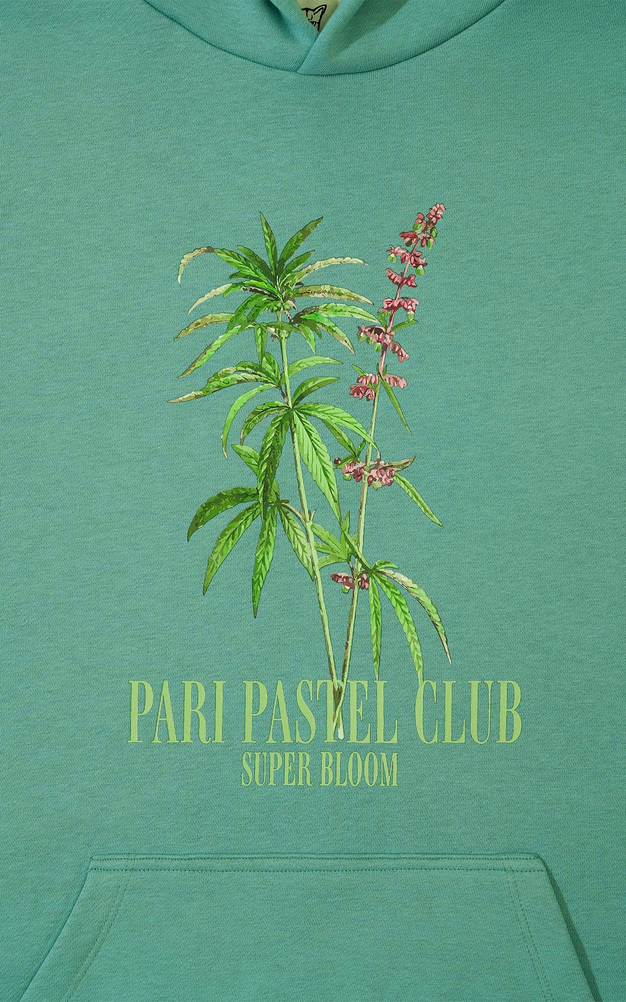KUSH PASTEL CLUB HOODIE