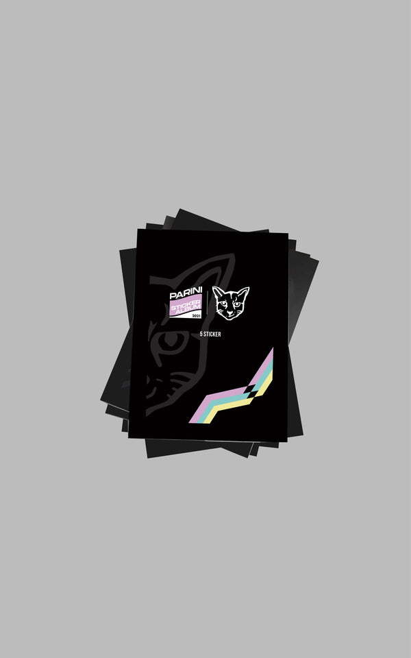 PARINI 25 STICKER
