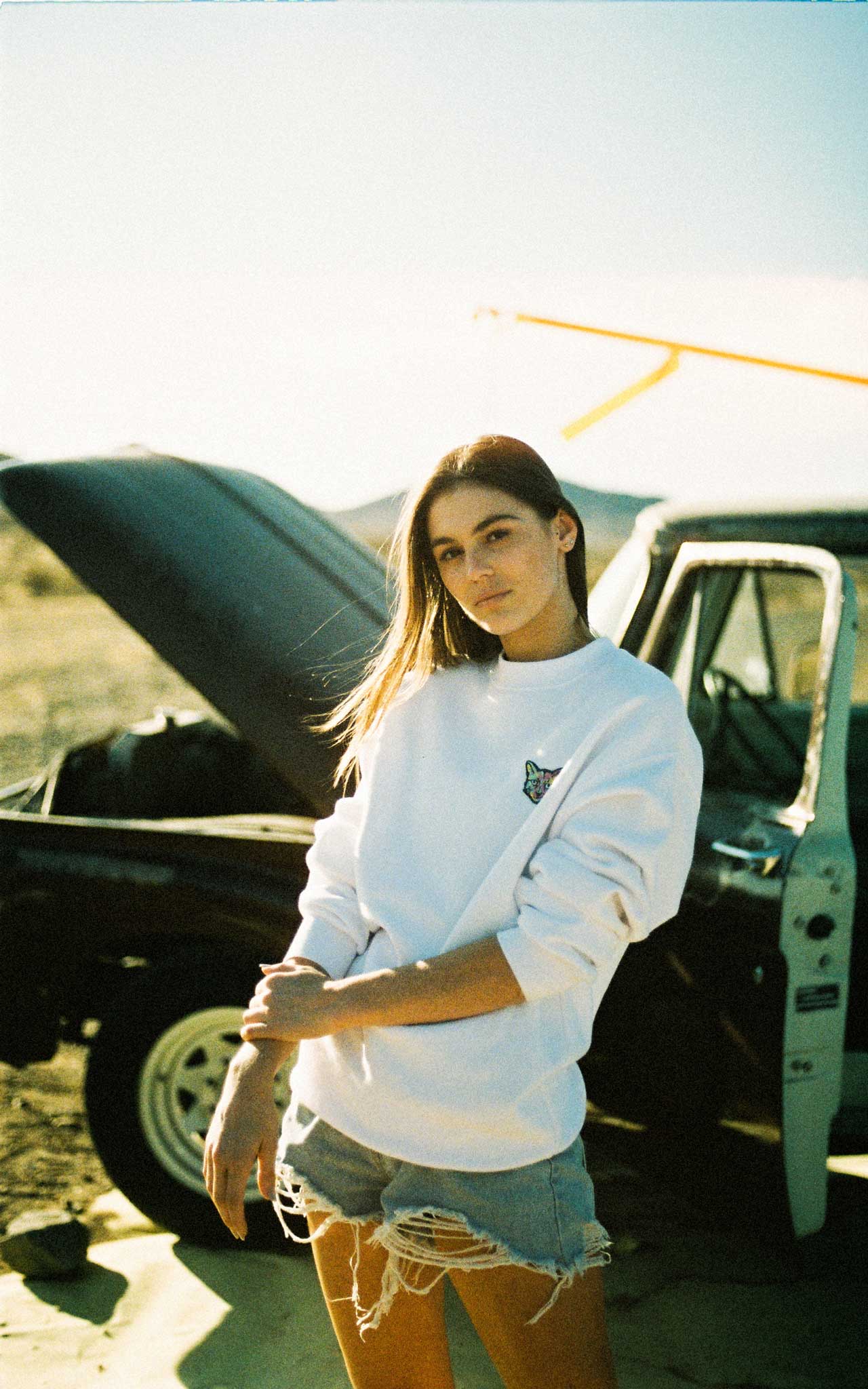 WHITE SWEATSHIRT CAT